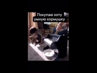 video by vide funny - funny videos